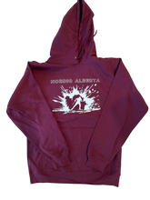 Load image into Gallery viewer, 2025-2026 NA Hoodies "Explosion"