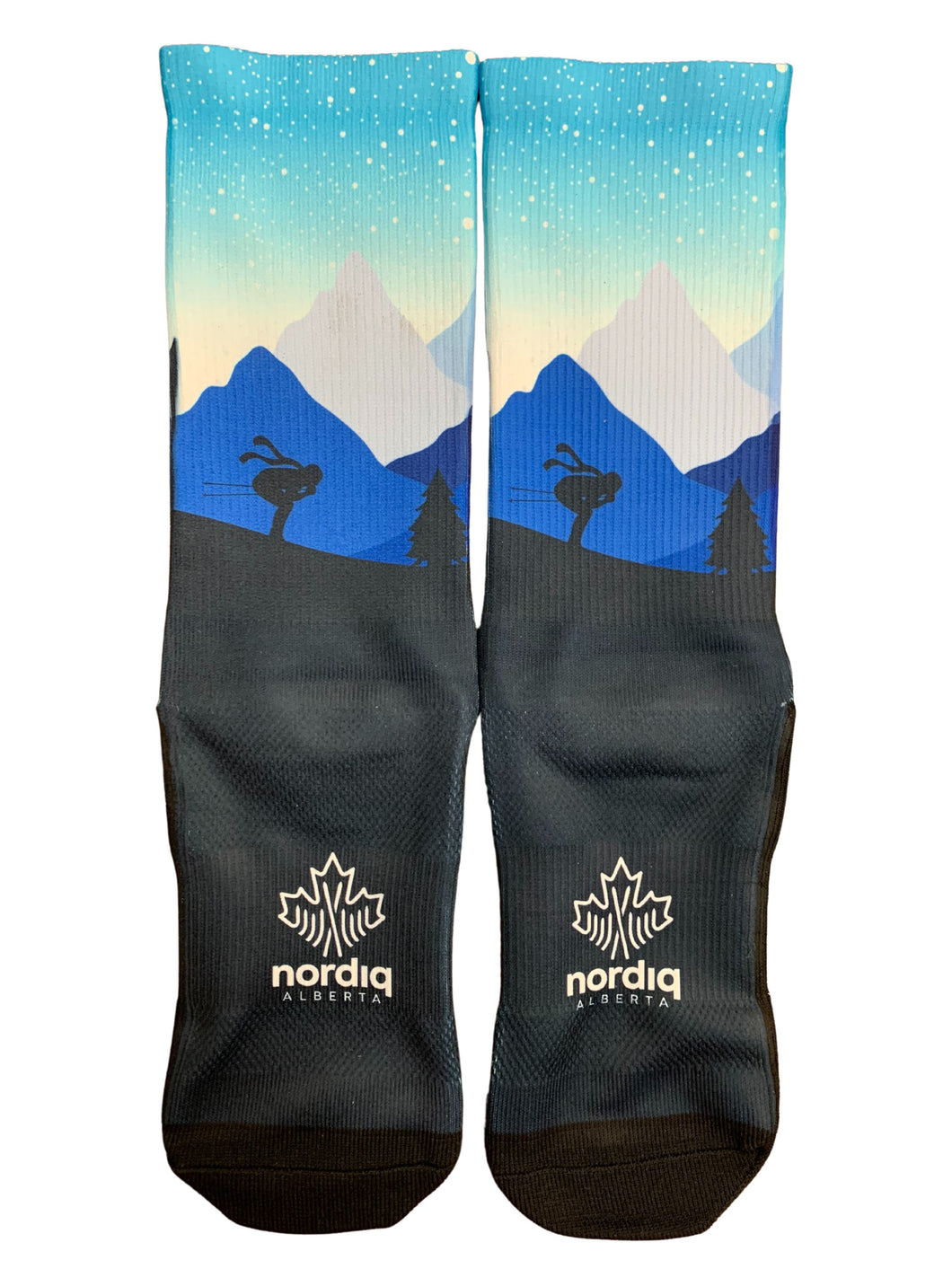 Custom Lab Socks (Destination Trails Design)