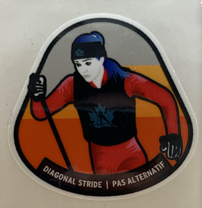 Track Attack - Technique Award Stickers